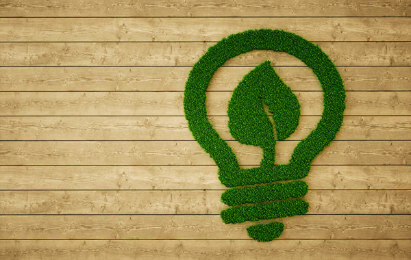 Nachhaltige Druckmedien - Grafik Glühbirne aus Gras auf Holzpanelen